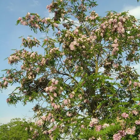 アパート Ferien Im Naturschutzgebiet