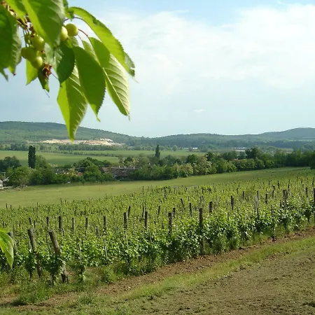Ferien Im Naturschutzgebiet Kékkút