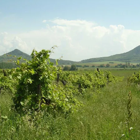 Ferien Im Naturschutzgebiet Apartman