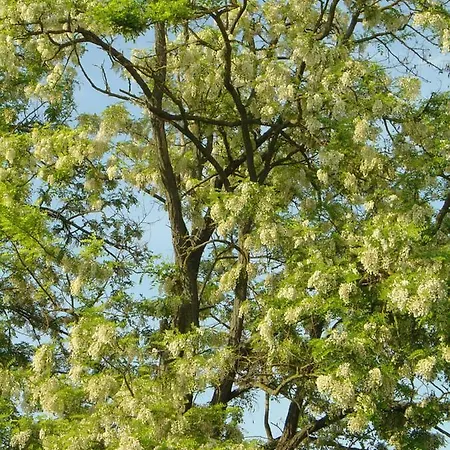 Ferien Im Naturschutzgebiet アパート *