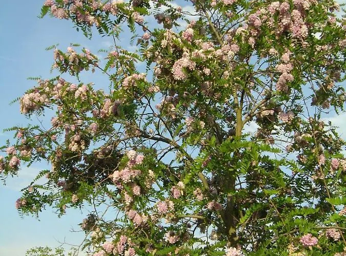 Apartamento Ferien Im Naturschutzgebiet