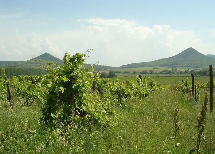 Ferien Im Naturschutzgebiet דירה