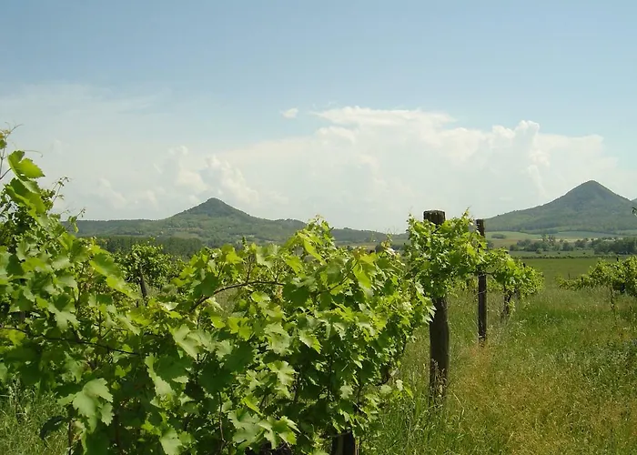 Ferien Im Naturschutzgebiet דירה