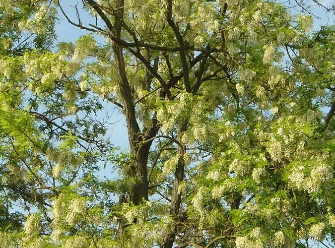 Ferien Im Naturschutzgebiet Apartamento *